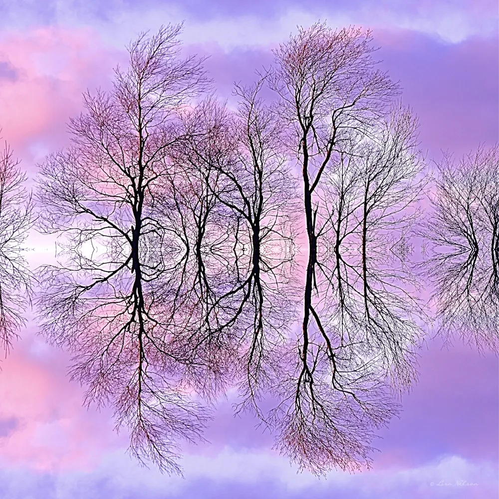 Tree Ballet