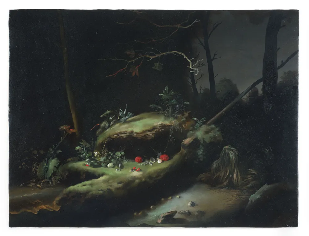 Swamp Structure (4)