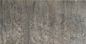 Velocity : Larry Poons